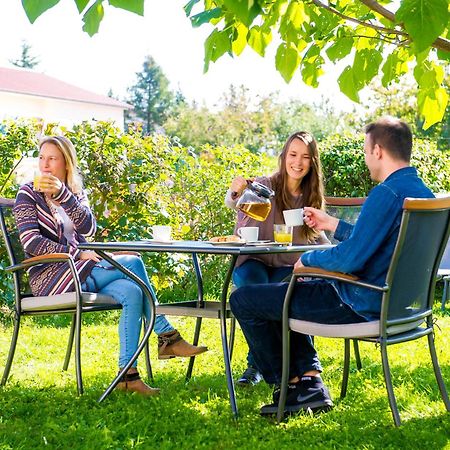 Zenja - Nature Property - Garden - Parking Yard Divaca Luaran gambar